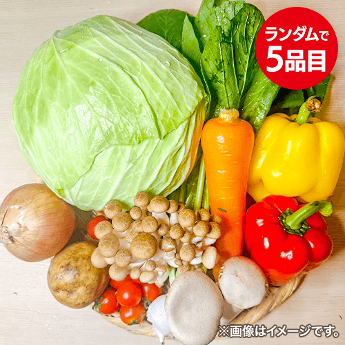 旬の野菜セット：直送