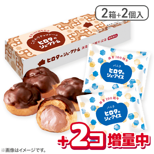 【100周年記念】【2箱+シューアイスバニラ2個】こだわりチョコレート：直送