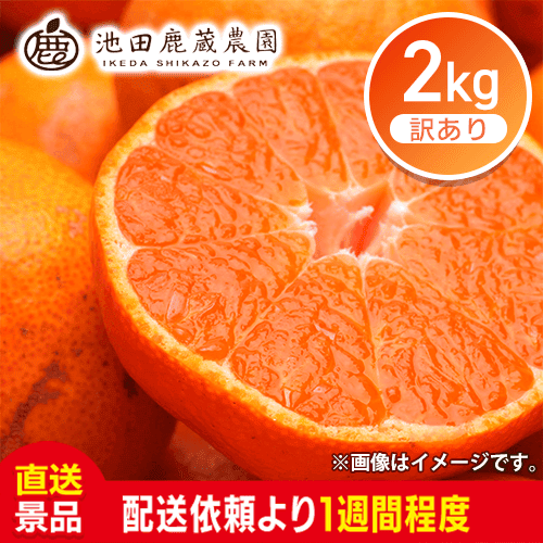 わけあり有田みかん2㎏：直送