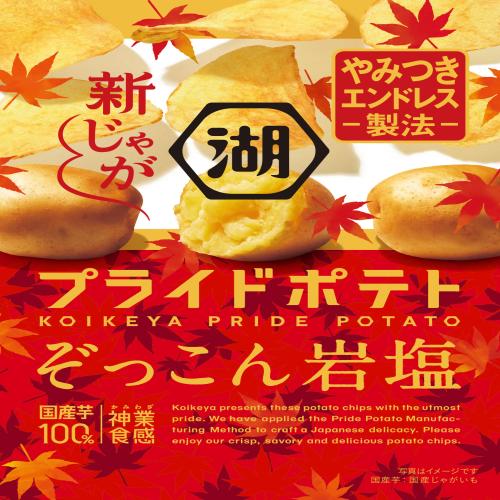 【12個入】プライドポテト ぞっこん岩塩※賞味期限:2025/05/31