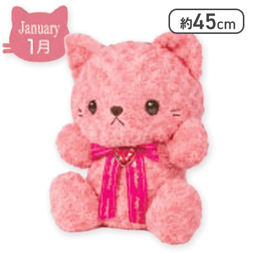【1月】Happy Birthcolor Cat Roseboa BIG vol.1