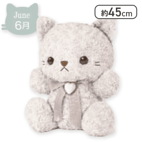 【6月】Happy Birthcolor Cat Roseboa BIG vol.1