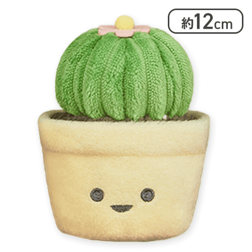 【玉サボテン】FANS 観葉植物ミニぬいぐるみ
