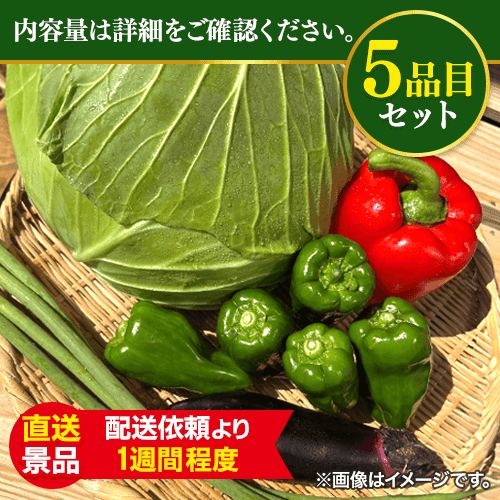 今日は中華だ！炒め物野菜セット：直送