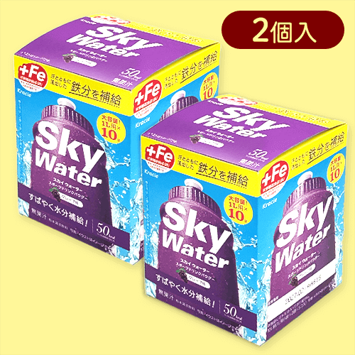 【2個入】10Lスカイウォーターグレープ箱※賞味期限:2027/02/28
