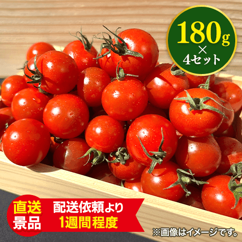 大量！ミニトマトセット：直送