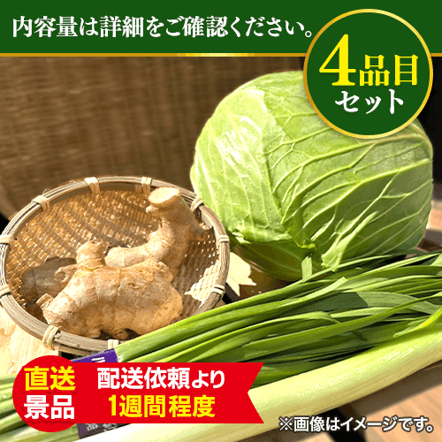 野菜餃子用　野菜セット：直送