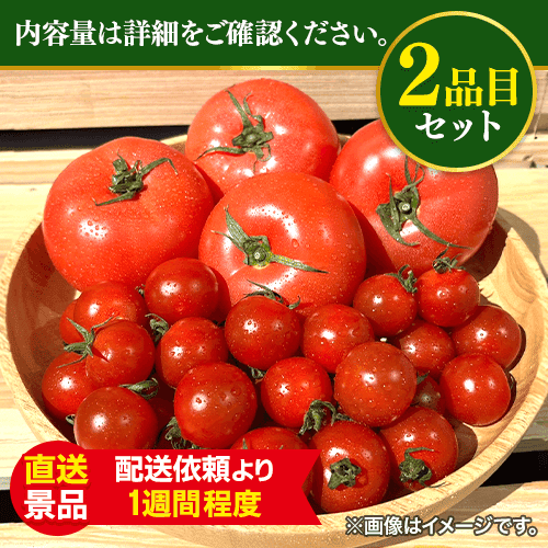 リコピンマニア専用　トマトの森：直送