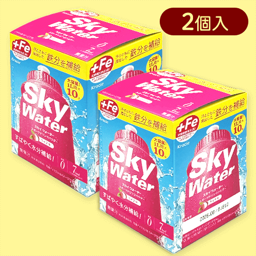 【2個入】10Lスカイウォーターライチ箱※賞味期限:2026/09/30
