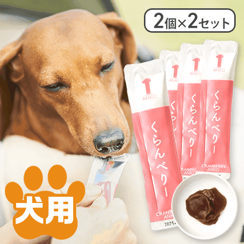 【くらんべりー】【2個×2セット】あんちゅーぶ※賞味期限:2026/05/31