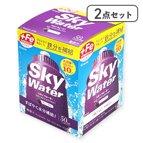 【2点セット】10Lスカイウォーターグレープ箱※賞味期限:2027/04/30