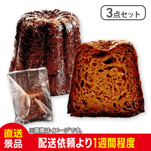 【3点セット】【チョコレート】僕が彼女のためにつくったカヌレ：直送