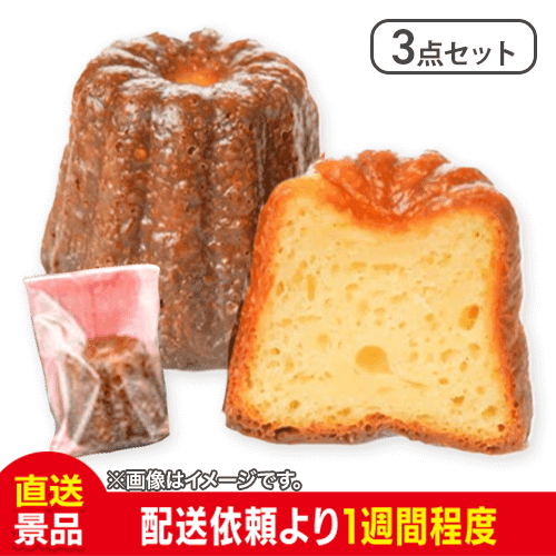 【3点セット】僕が彼女のためにつくったカヌレ：直送