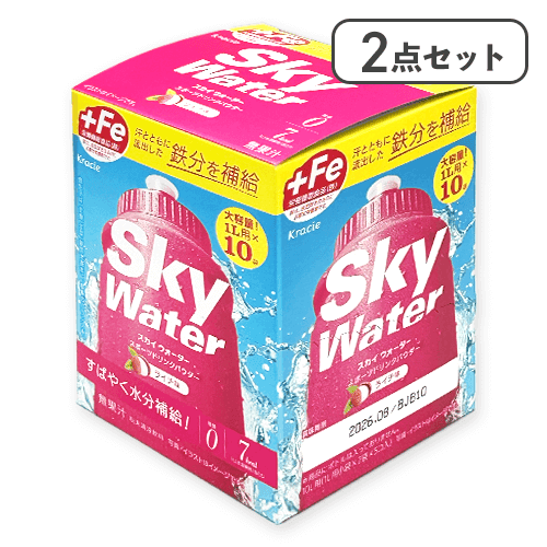 【2点セット】10Lスカイウォーターライチ箱※賞味期限:2026/12/31