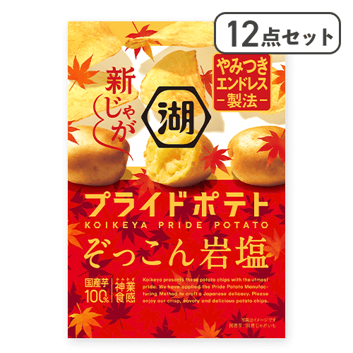 【12点セット】プライドポテト ぞっこん岩塩※賞味期限:2026/01/31