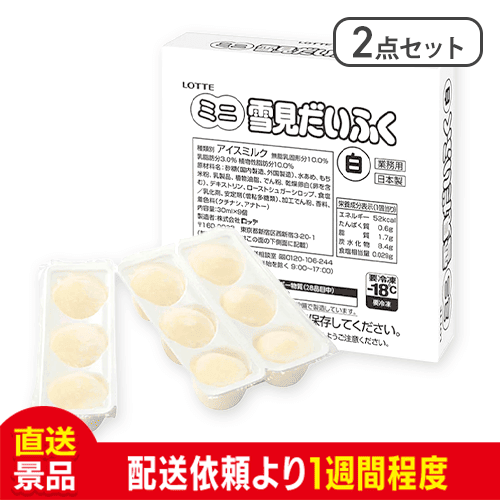 【2点セット】ロッテ ミニ雪見だいふく 9個入（白）：直送