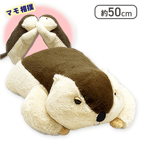 Dｒ.マーモットまもちおもプクのぺたーん＆マモ相撲XL まもち】Dr.マーモットまもちおもプクのぺたーん&マモ相撲XL