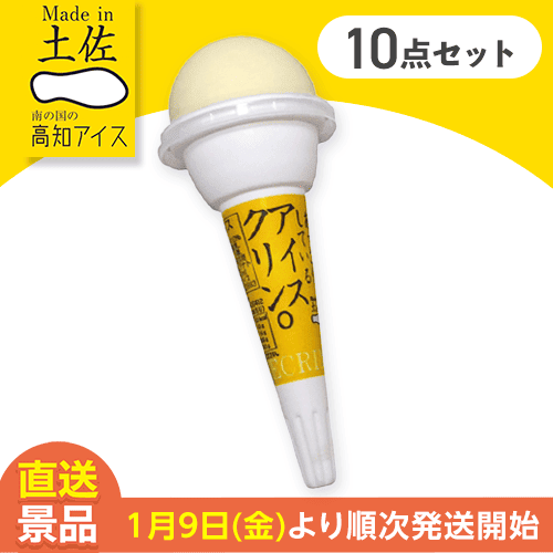 【10個セット】アイスクリンコーン：直送