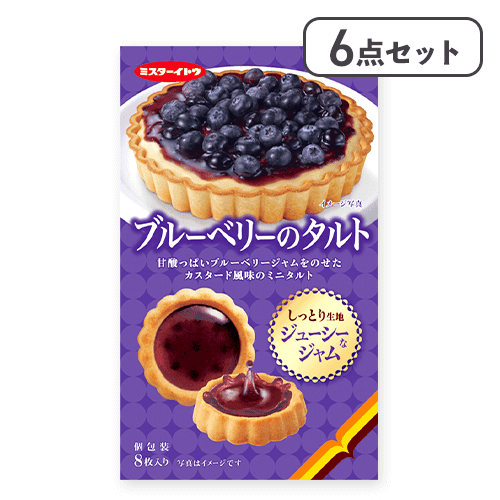 【6点セット】ブルーベリーのタルト※賞味期限:2026/07/31