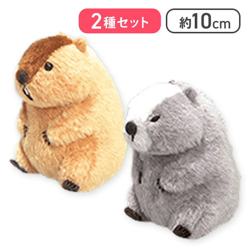 マーモットのもっとっと マモ座り 3種セット アー太郎＆銀太郎】マーモットのもっとっとマモ座りLMC | オンライン