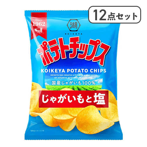 【12点セット】ポテトチップス じゃがいもと塩※賞味期限:2027/02/28