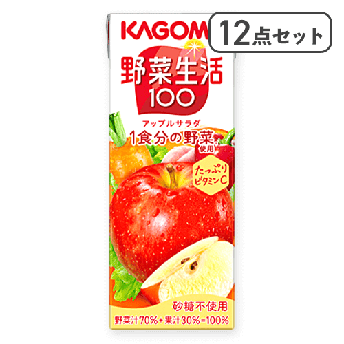 【12点セット】野菜生活100 アップルサラダ※賞味期限:2027/06/27