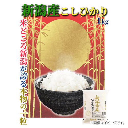 【2026年8月上旬精米】新潟産こしひかり 1kg