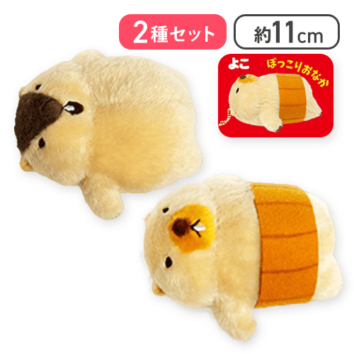 【はまもと＆ボバくん】マーモットのもっとっとへそ天LMC