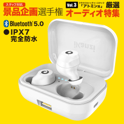 【数量限定】iKanzi Bluetooth ワイヤレス イヤホン