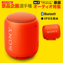 【数量限定】SONY Bluetooth対応 ワイヤレスポータブルスピーカー