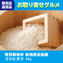 【直送景品】特別栽培米-新潟県岩船産-コシヒカリ 47C-011