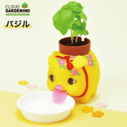 【ガーデニング】聖新陶芸 花ブータン バジル