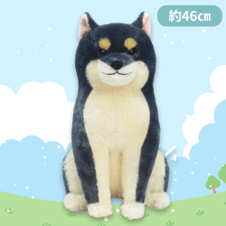 【柴黒兄貴】ほっこり柴犬茶々ノ助BIG