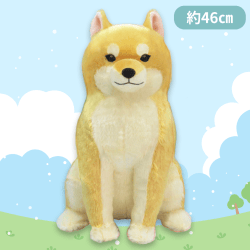 【茶々ノ介】ほっこり柴犬茶々ノ助BIG