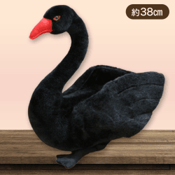 【黒鳥】リアルなアニマルぬいぐるみ ニワトリとハクチョウ