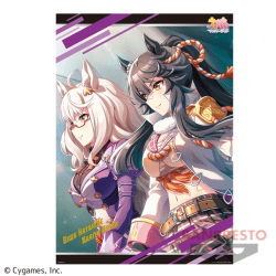 【ビワハヤヒデ&ナリタブライアン】ウマ娘 プリティーダービー スペシャルポスター