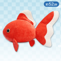 【トサキン】彩り金魚BIG