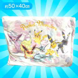 【ミックス(6匹)】ポケモンスクエアクッション3