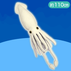 【ホワイト】くったりダイオウイカ3BIG