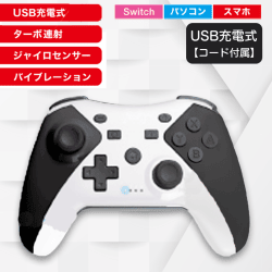 【黒×白】NSコントローラー4th