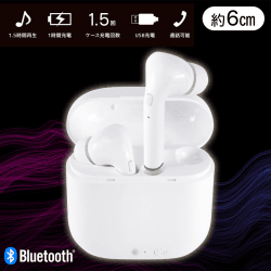 【ホワイト】完全ワイヤレスイヤホンEUPHORIA(ユーフォリア)