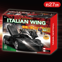 【ブラック】RCリモートオープンイタリアンウィング