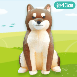 【胡麻十郎】ほっこり柴犬茶々ノ助なごみ日和BIG