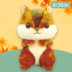 【ビスケット】ふっくらほっぺのちょこりすBIG