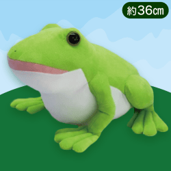 【ライムグリーンくちあけ】ぴょこんとアマガエルぴょこぴょこBIG