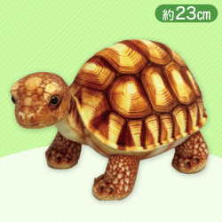 【ブラウン】りあるあにまるず リクガメ