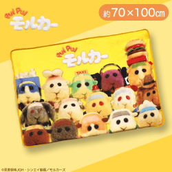 【集合】PUIPUIモルカーバラボアブランケット