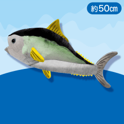 【キハダマグロ】まぐろぬいぐるみBIG