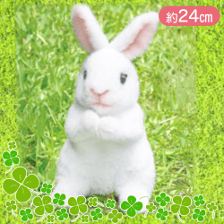 【ホワイト】リアルな兎のぬいぐるみ