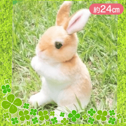 【オレンジ】リアルな兎のぬいぐるみ